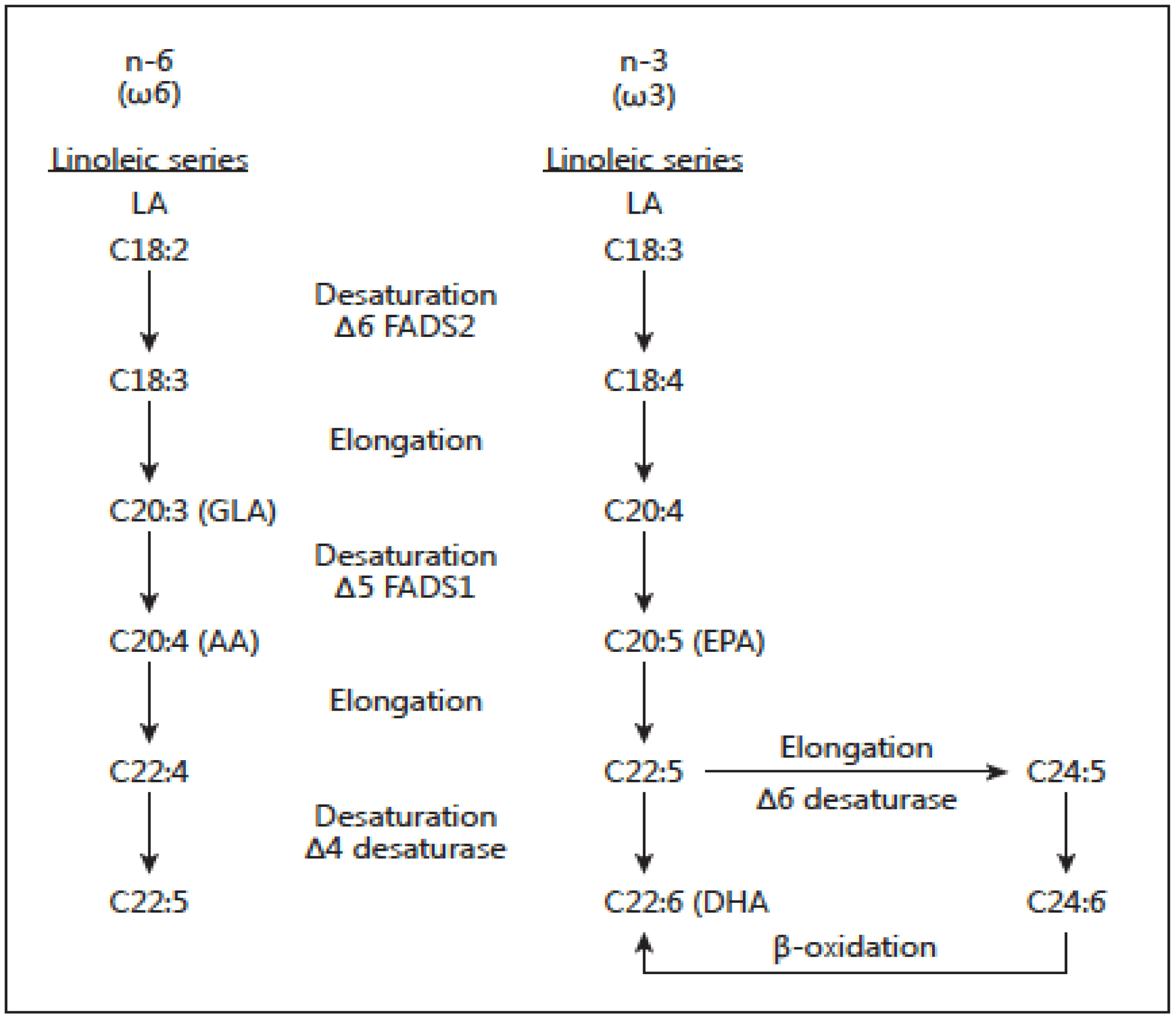 Nutrients Free FullText An Increase in the Omega6/Omega3 Fatty