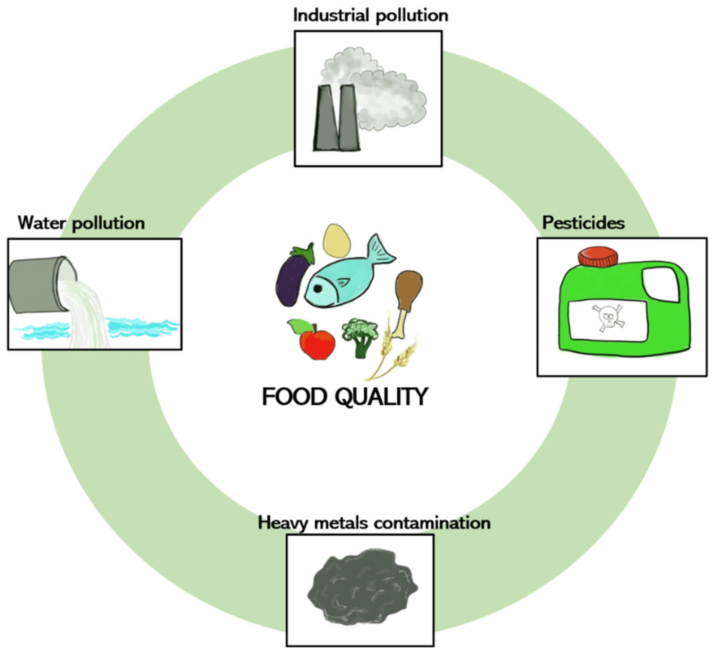 Nutrients Free FullText Food Contamination An Unexplored Possible