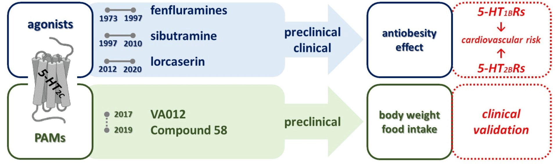 Nutrients Free FullText 5HT2C Receptor Stimulation in Obesity Treatment Orthosteric