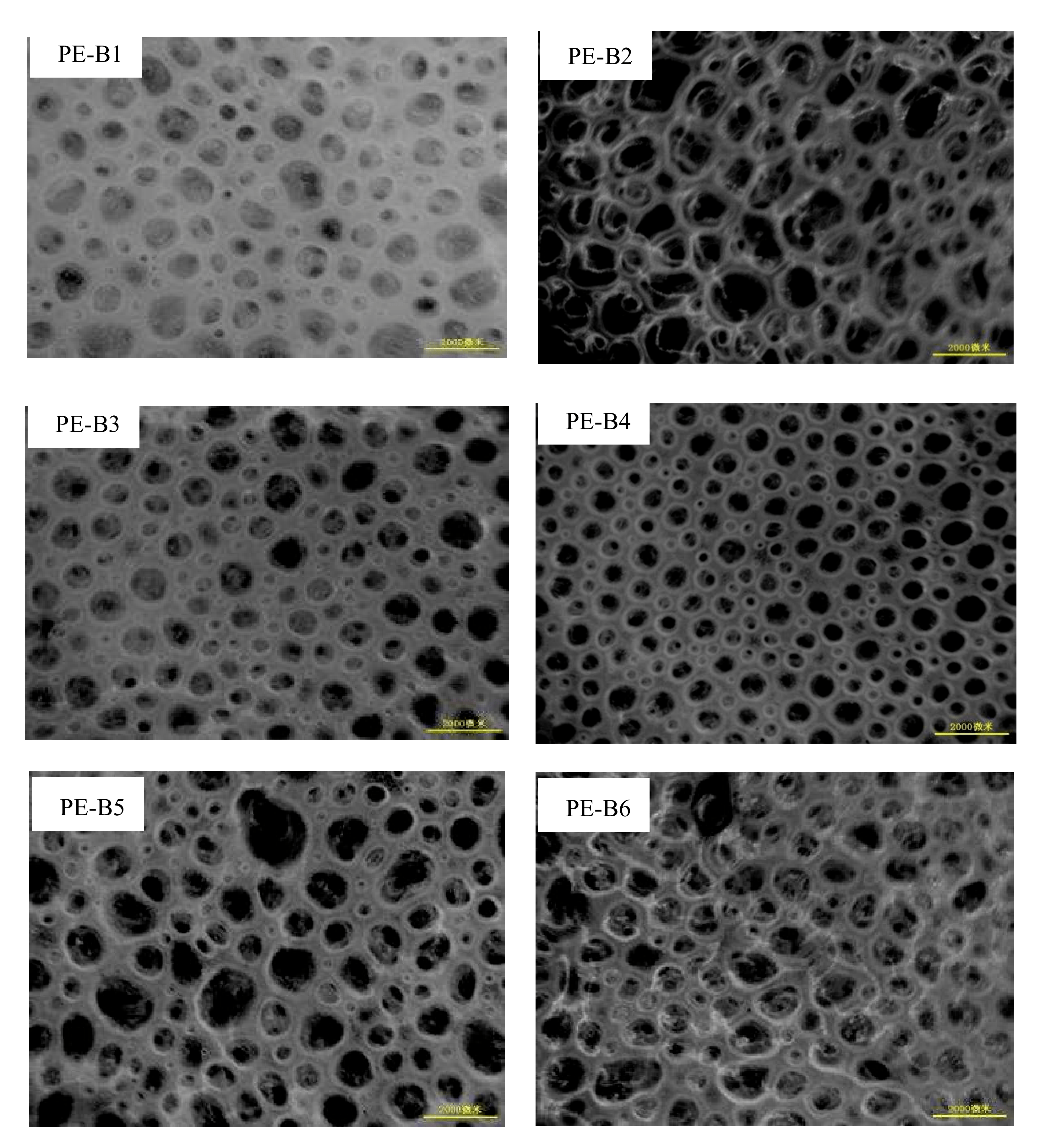 Improved Rotational Foam Molding Properties of Tailored Polyethylene