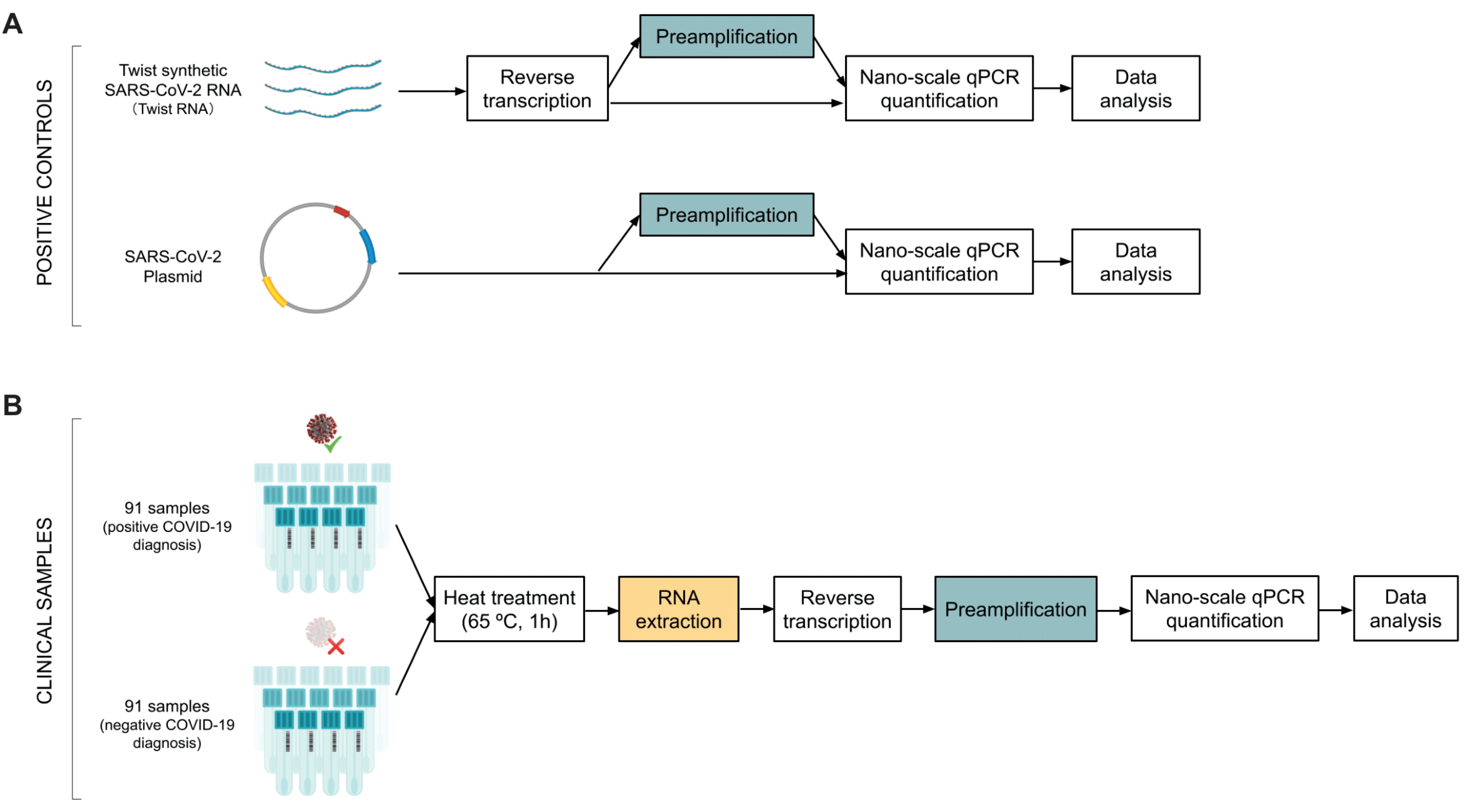 Processes Free FullText Microfluidic NanoScale qPCR Enables Ultra