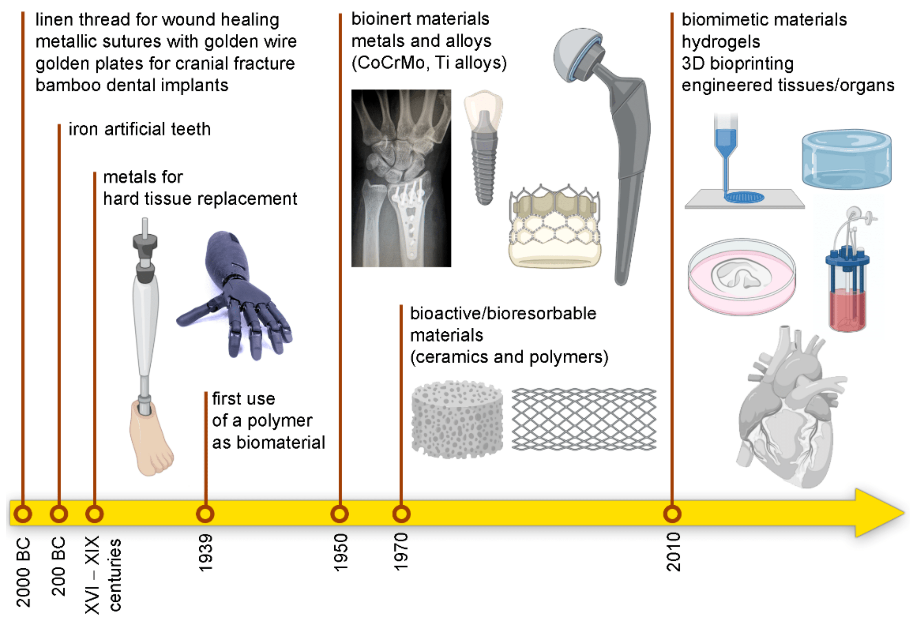 Processes Free FullText Biomaterials and Their Biomedical