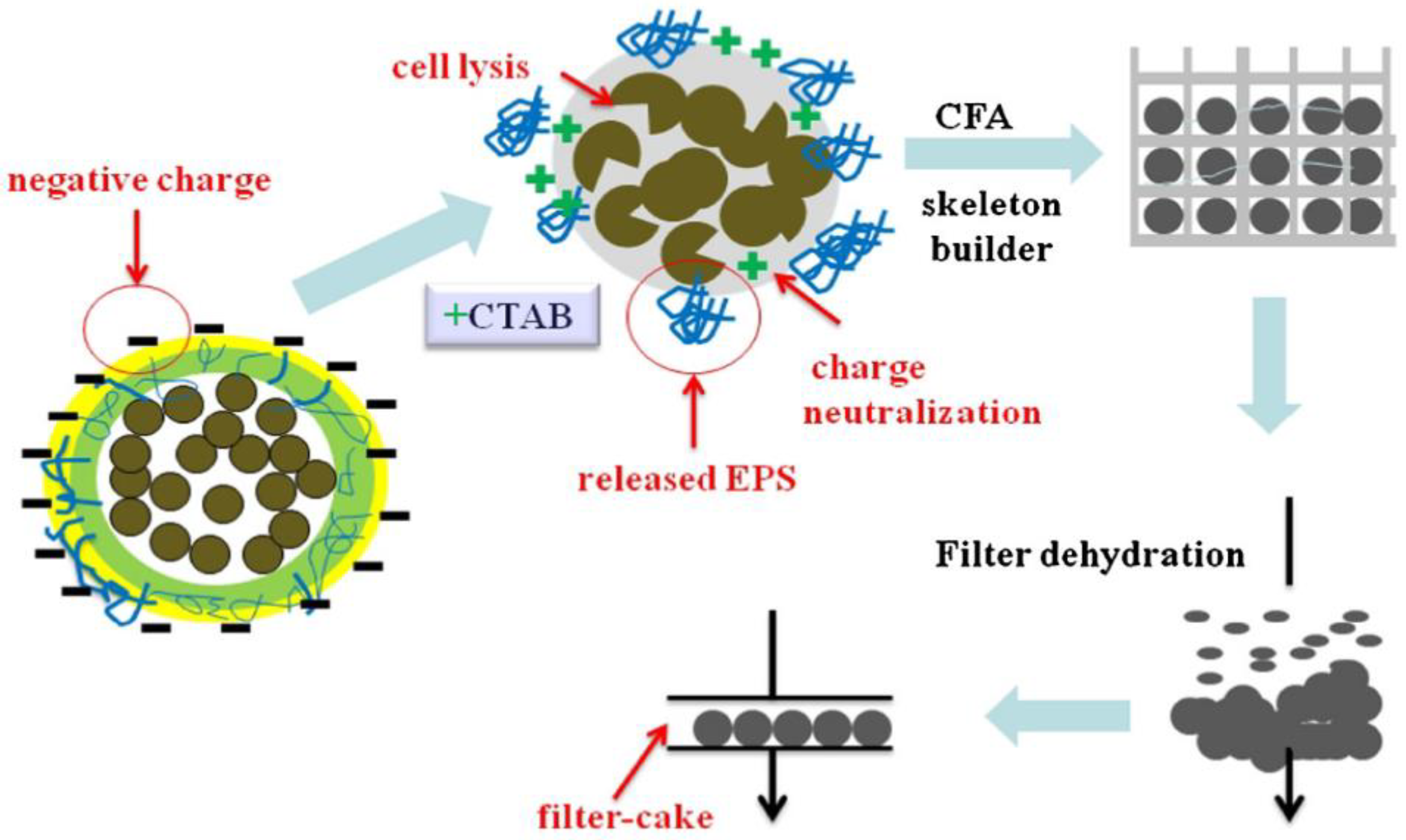 Processes Free FullText Wood Ash Based Treatment of Anaerobic