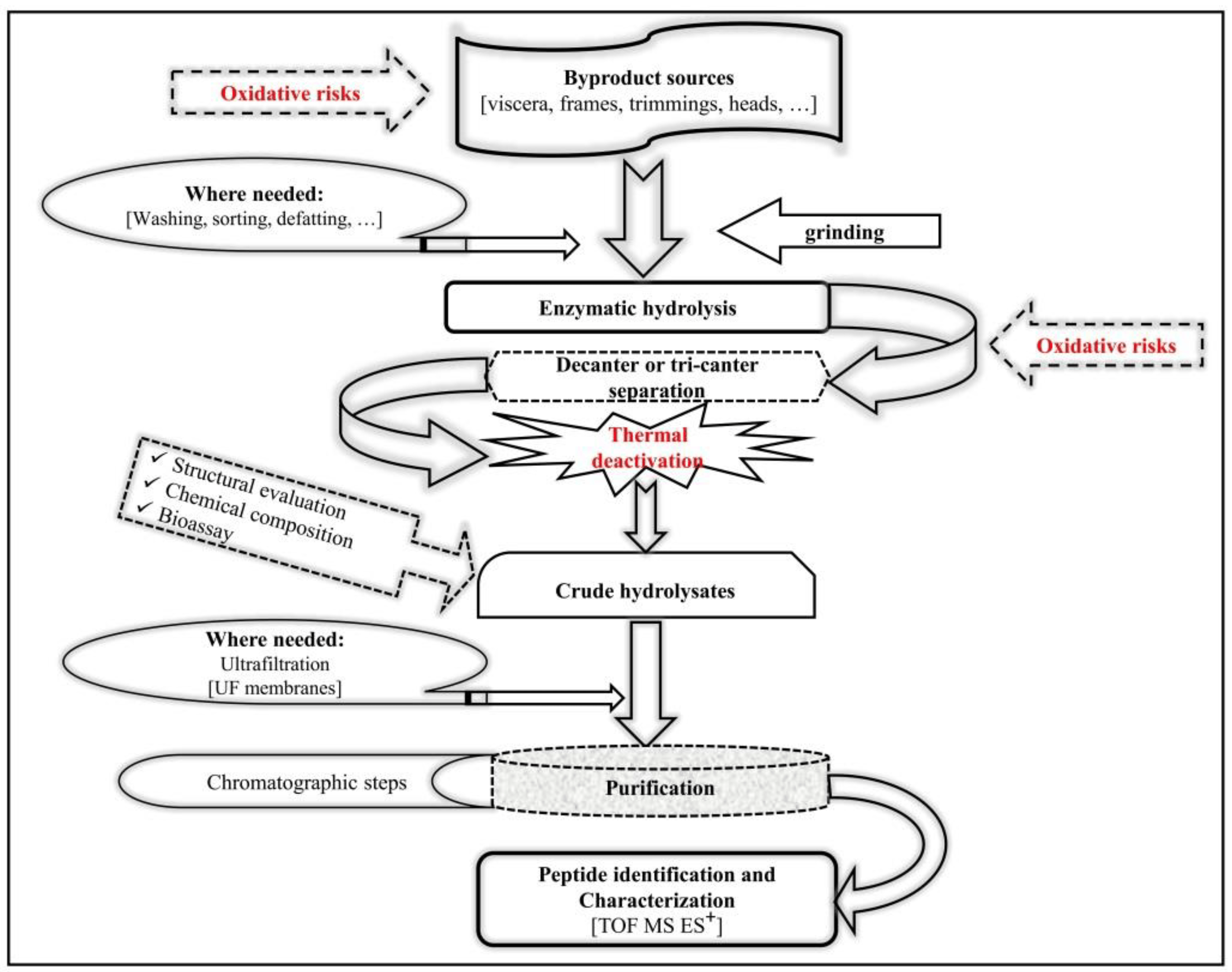 Processes Free FullText Formation of Oxidative Compounds during