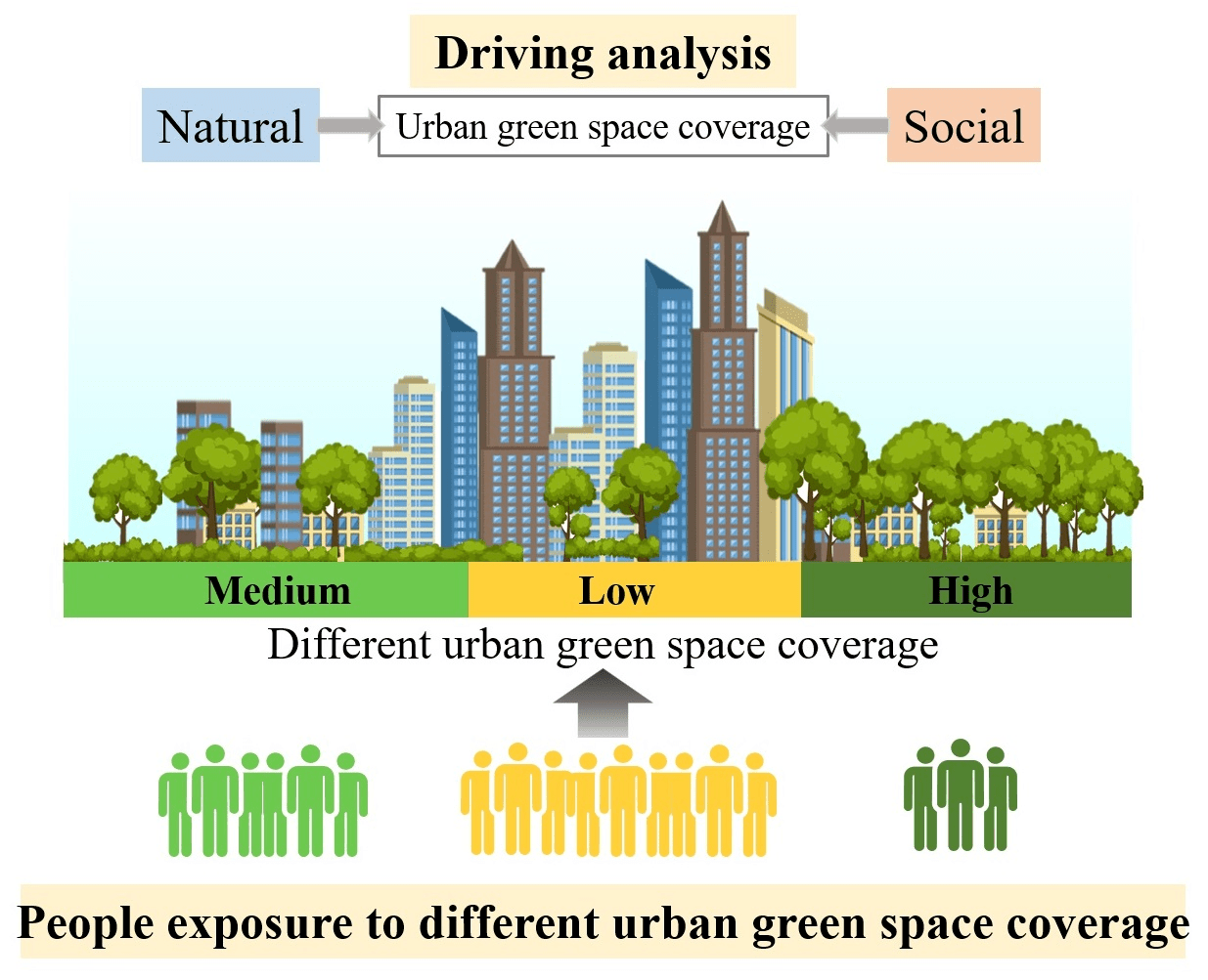 Spatiotemporal Dynamics of Urban Green Space Coverage and Its Exposed