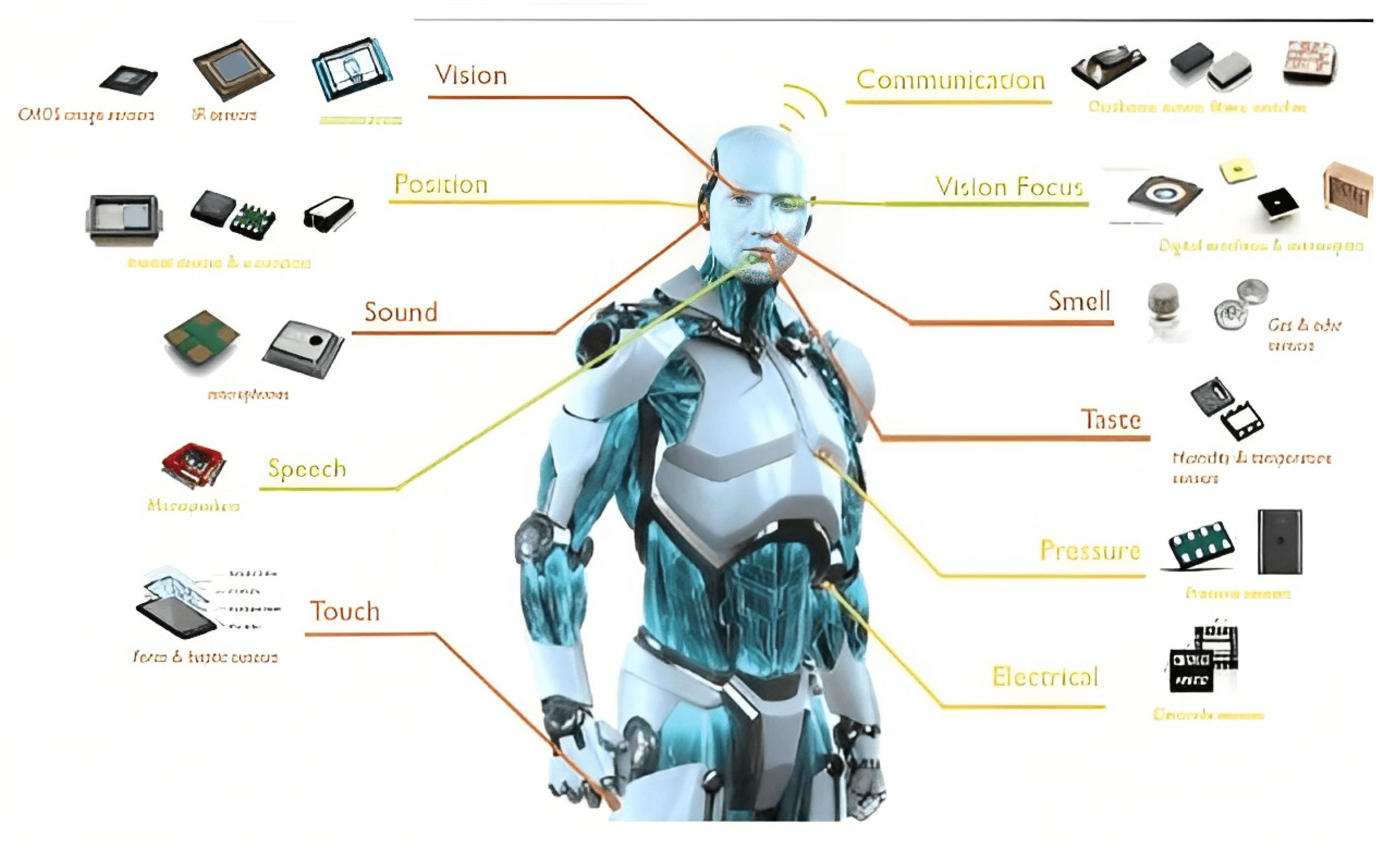 Robotics Five Senses plus One—An Overview(04)