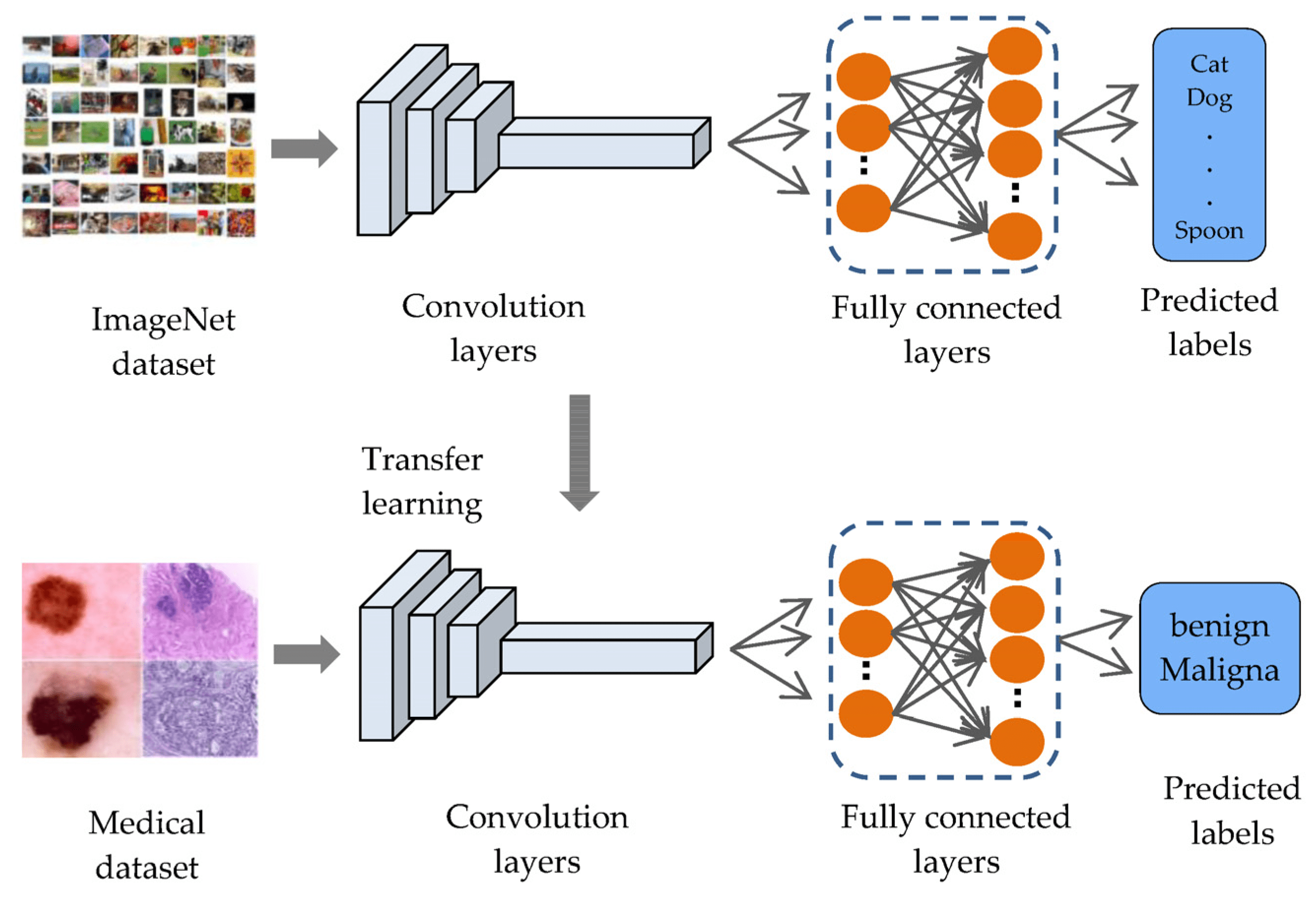 Sensors Free FullText Incorporating a Novel Dual Transfer Learning