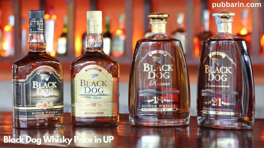 Black Dog Whisky Price in Uttar Pradesh (UP) for 2024 Pubbarin