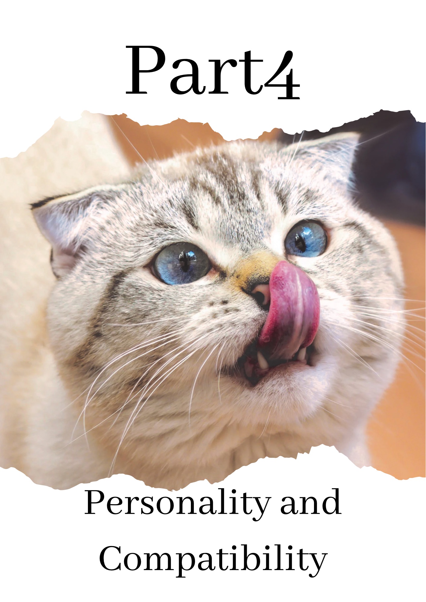 CHOOSING A CAT BREED THAT SUITS YOUR LIFESTYLE