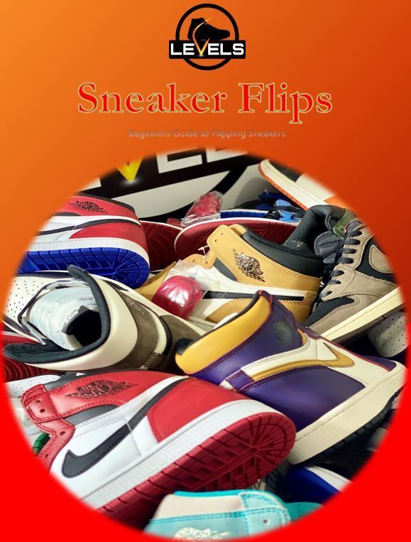 Levels Sneaker Flips eBook