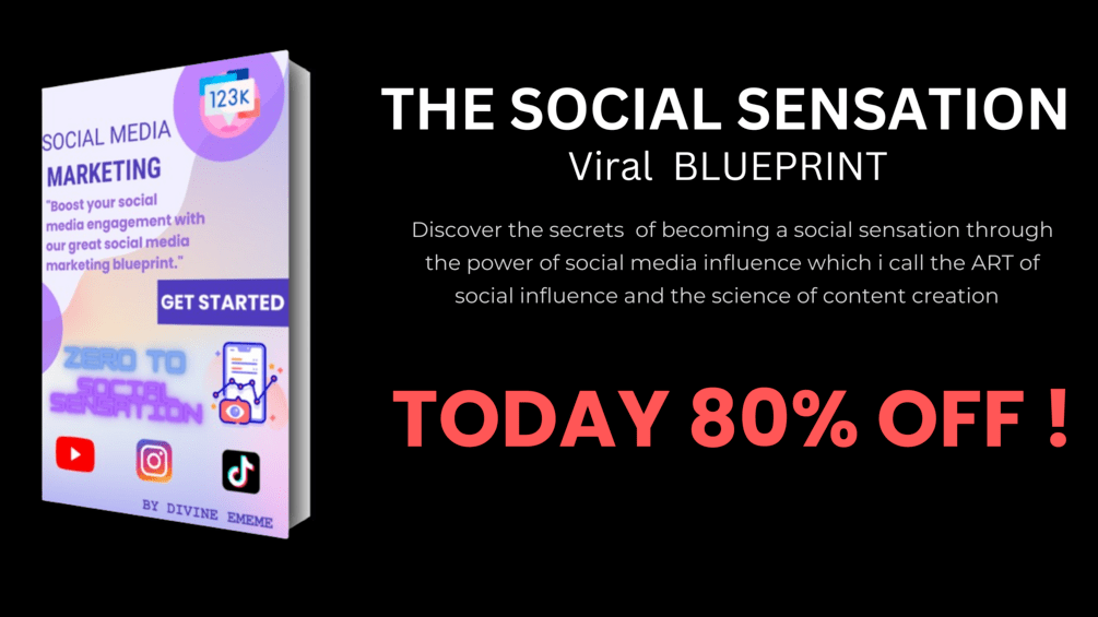 THE ART/SECRET OF SOCIAL MEDIA INFLUENCERS, ZERO TO SOCIAL SENSATION IN