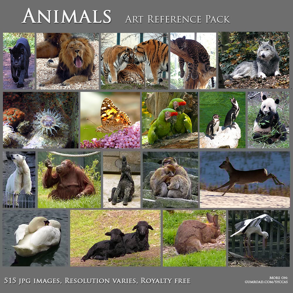 Animals Art Reference Pack (500+ images)