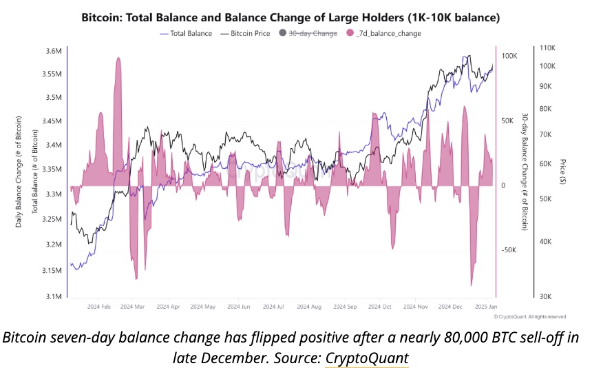 Bitcoin News Bitcoin Whales Accumulate 34K BTC After December SellOff Analyst Binance News on Binance Square