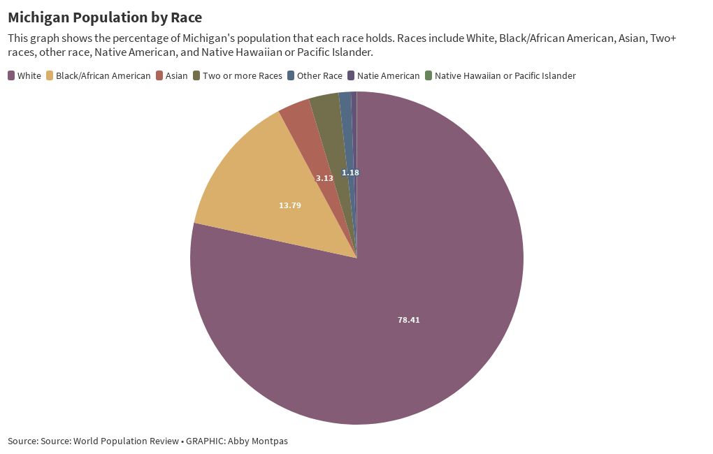 Pie Chart Michigan Population by Race Flourish