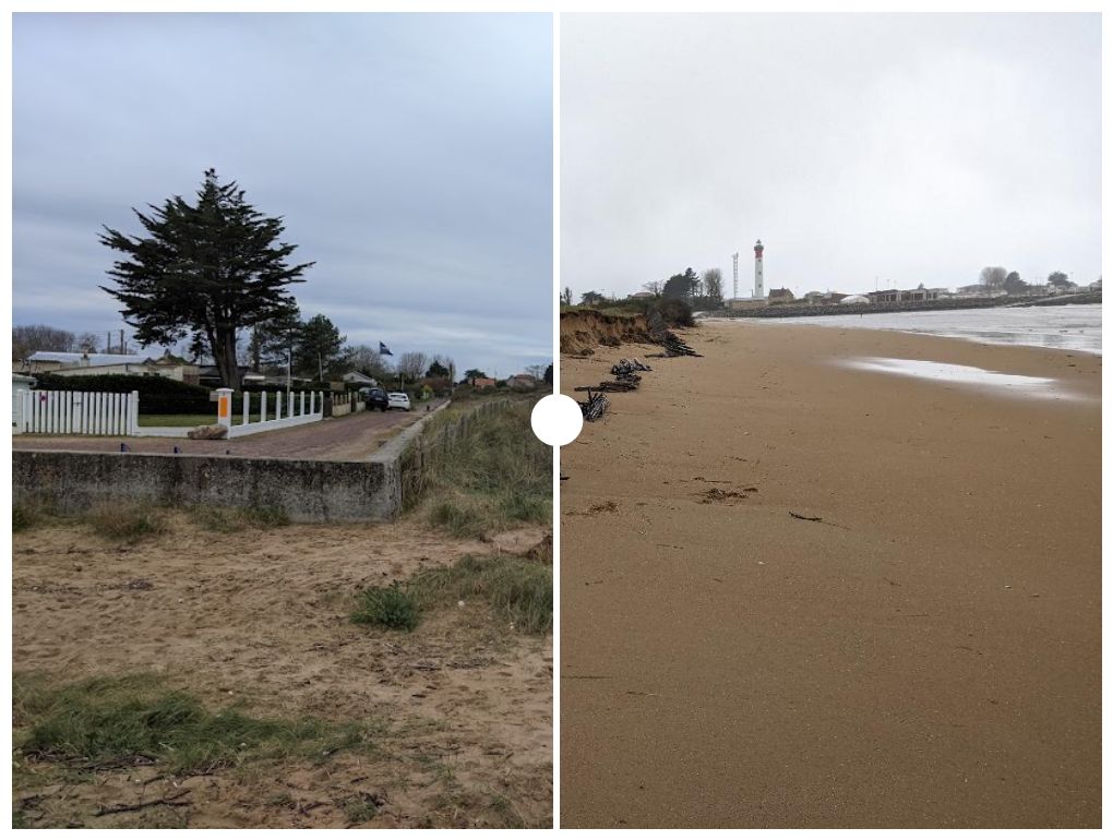 La dune de la Pointe du Siège à Ouistreham Flourish