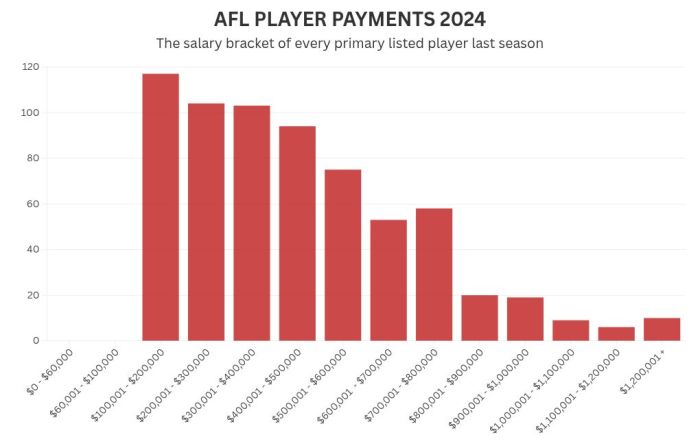 AFL 2024: Million dollar players, salaries, record 19 players earned ...