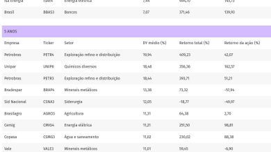 O poder dos dividendos: retorno com proventos supera ganho da própria ação em Petrobras, Vale e BB