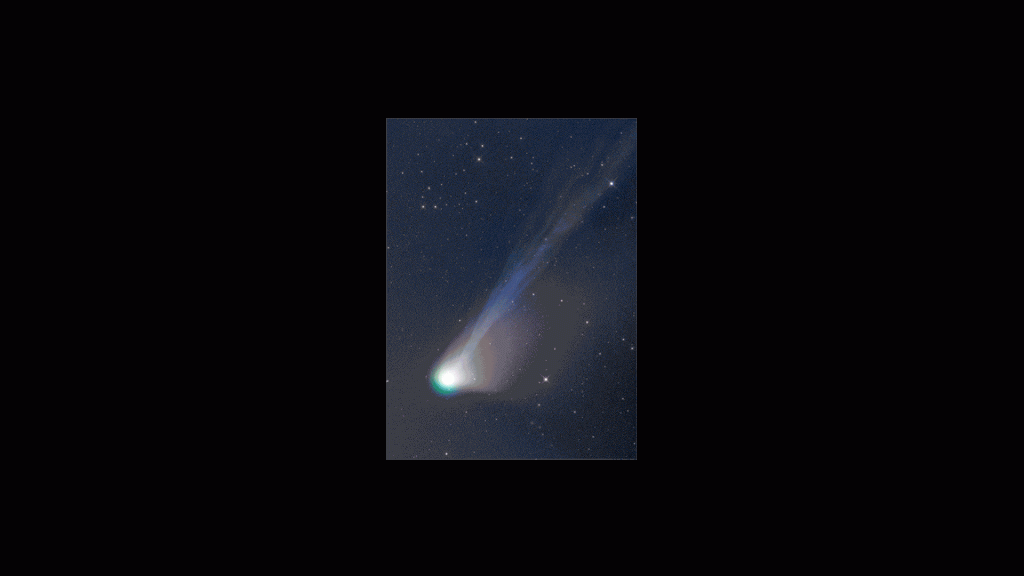 Comet Tonight 2025 Leila Natalya