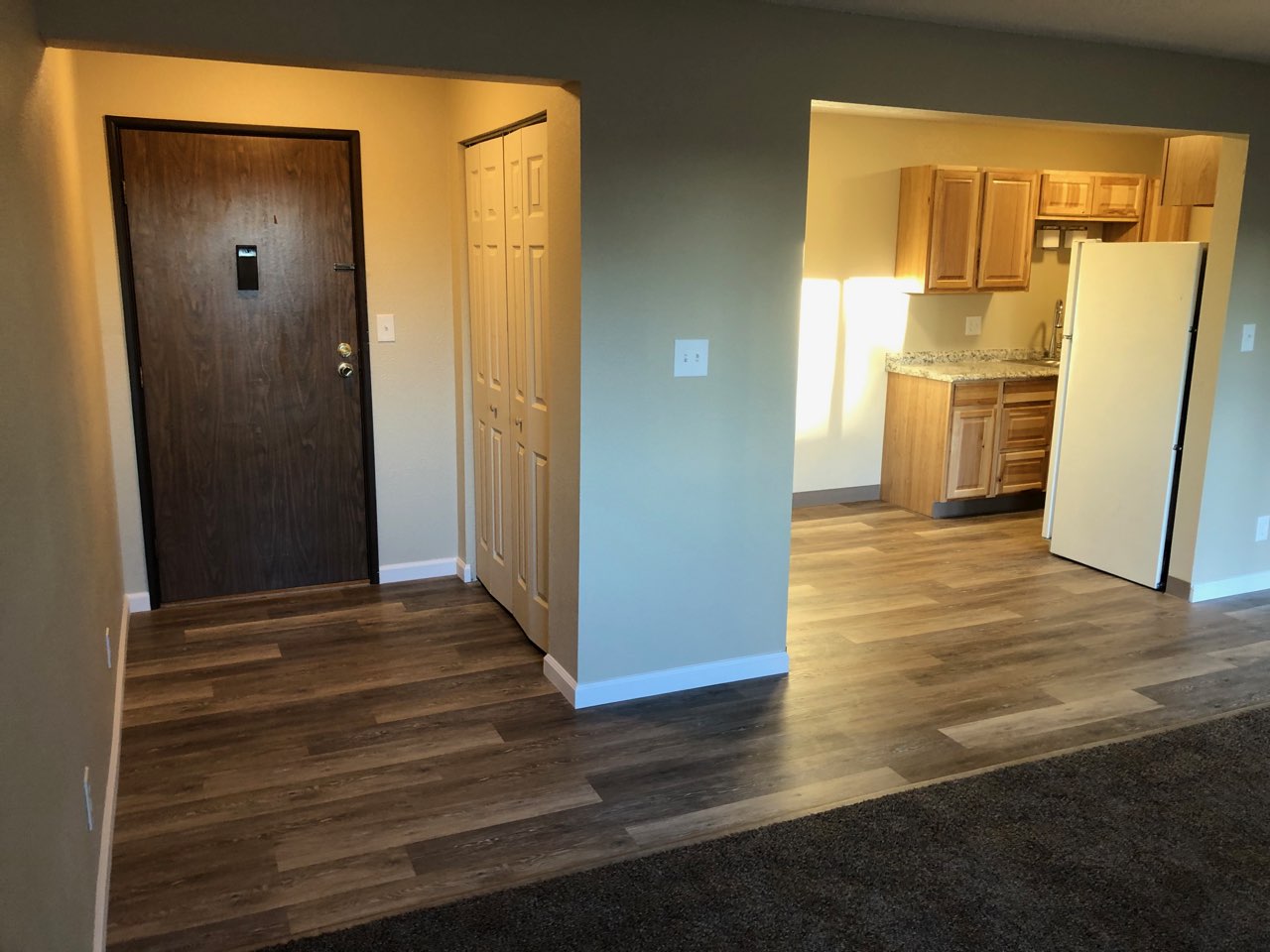 Leo Property Solutions Home