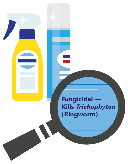 Ringworm and Pets