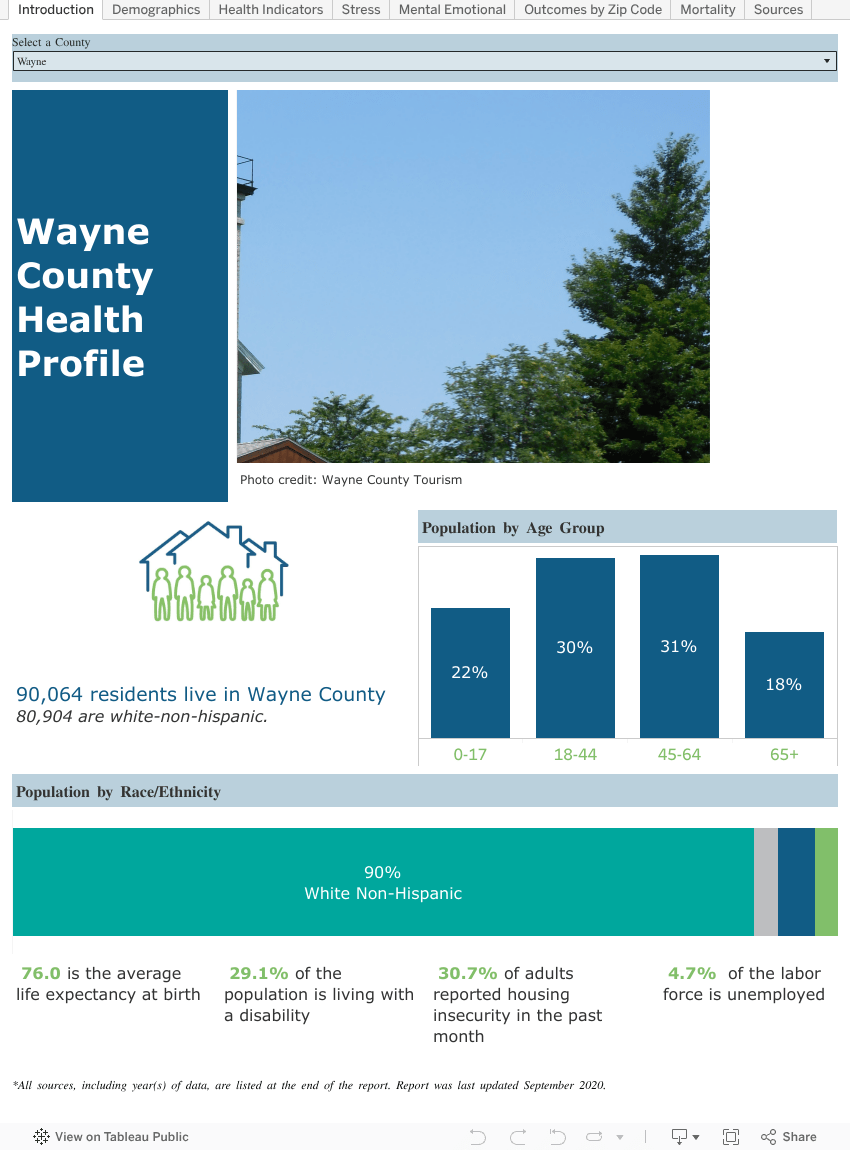 Wayne County Common Ground Health