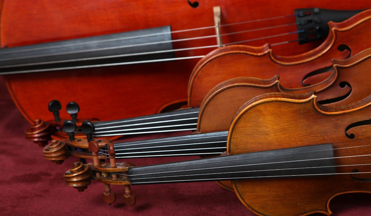 Essential Musical Accessories Every Stringed Instrument Player Should