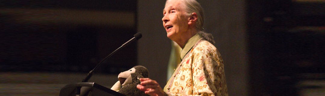 Dr Louis Leakey Jane Goodall | semashow.com