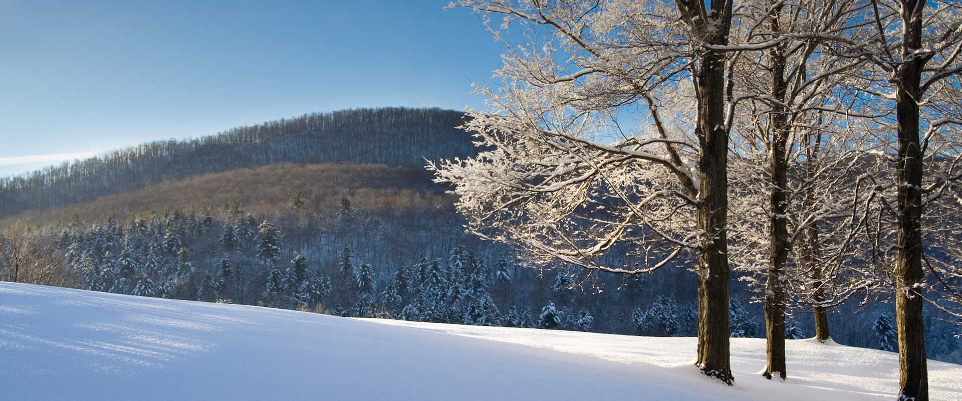 vermont town meeting day 2023 Vermont State Holidays 2018