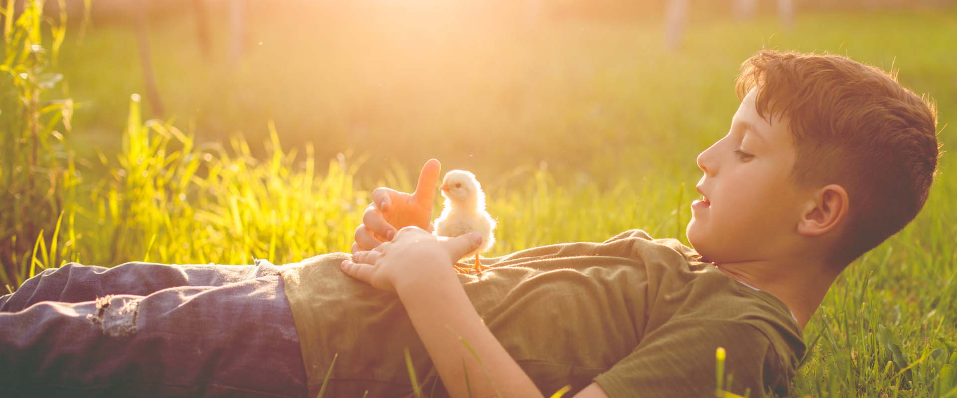 Juneau School District Calendar 2023 and 2024