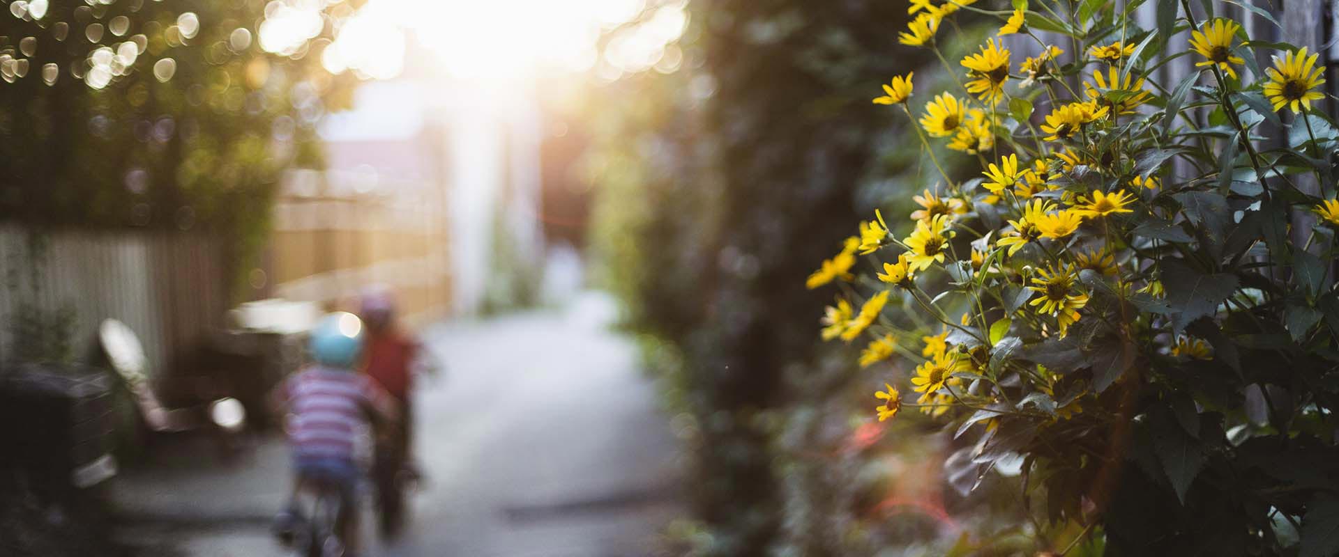 Pelican Rapids School District Calendar 2024