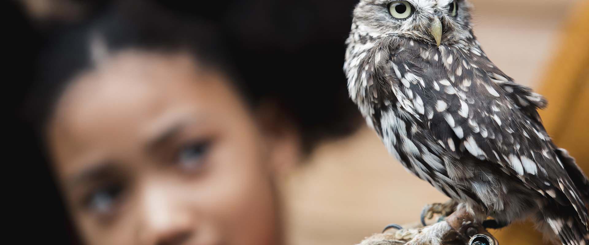 Mission Union Elementary School District Calendar 2024