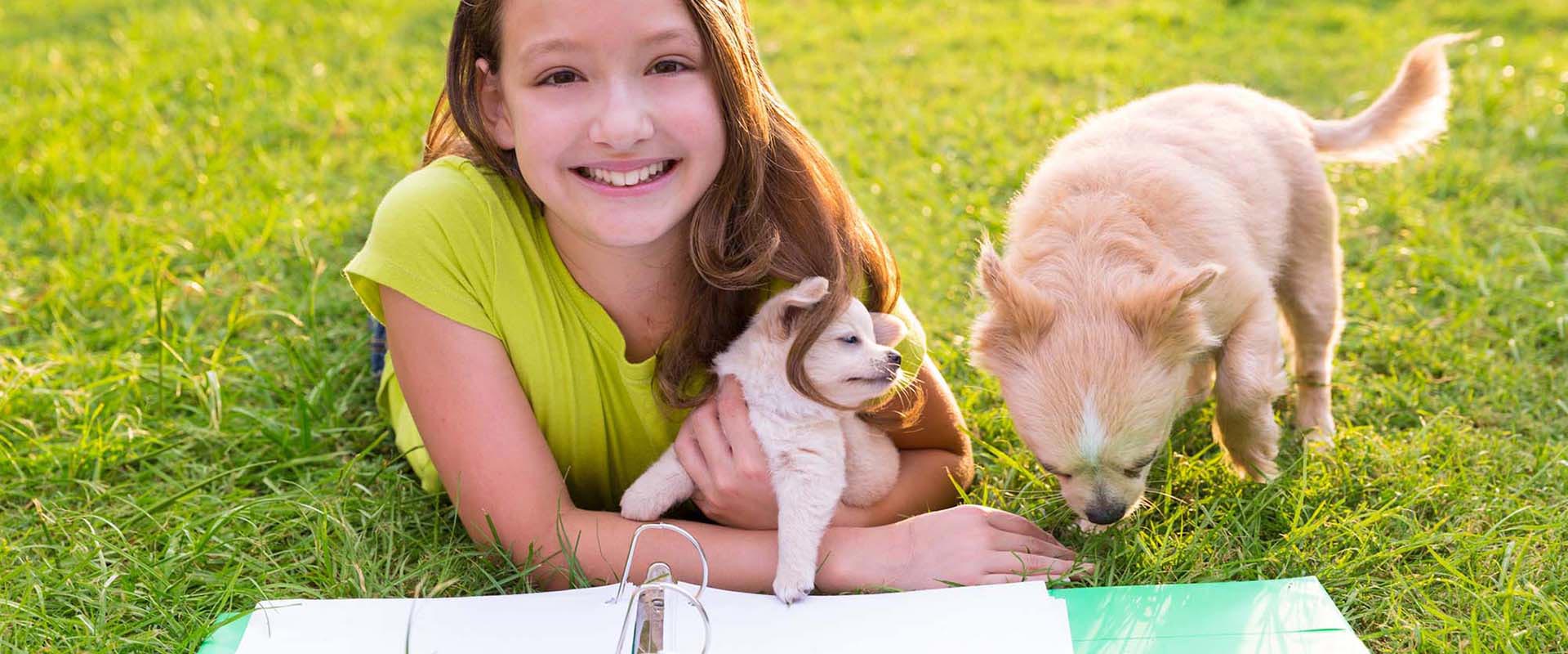 Carlisle Independent School District Calendar 2024