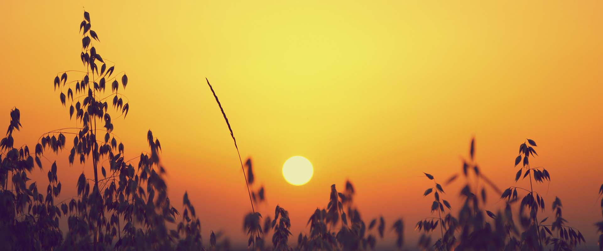 Sunset Labor Day 2023 Labour Day 2023, 2024 And 2025 In Palestine - Publicholidays.me