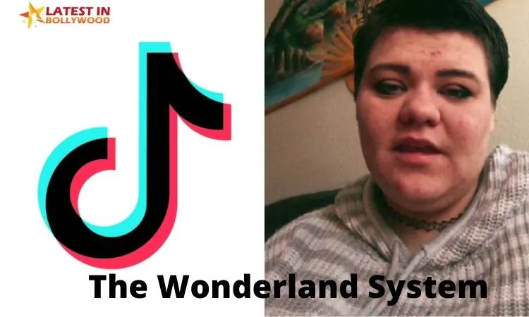 Wonderland System Wiki Who is the owner of The Wonderland system