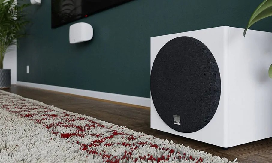 Everything You Need to Know About Subwoofer and How to Choose the Best