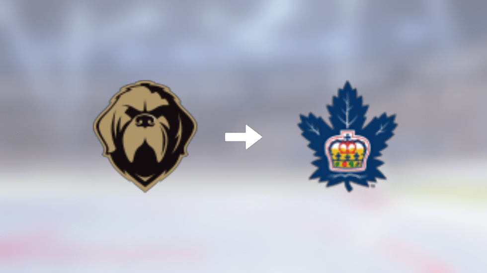 Toronto Marlies recruit forward Marc Johnstone from Newfoundland Growlers