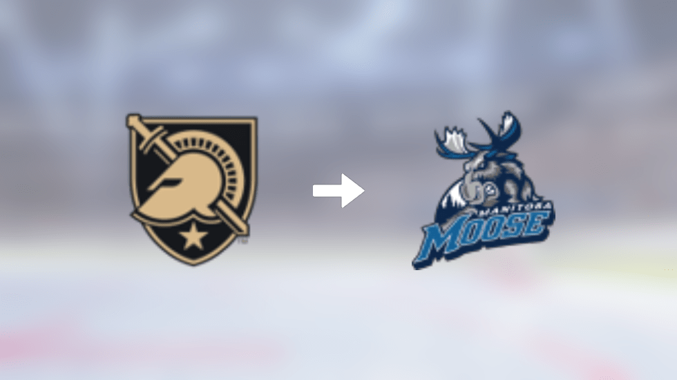 Toronto Marlies recruit forward Marc Johnstone from Newfoundland Growlers