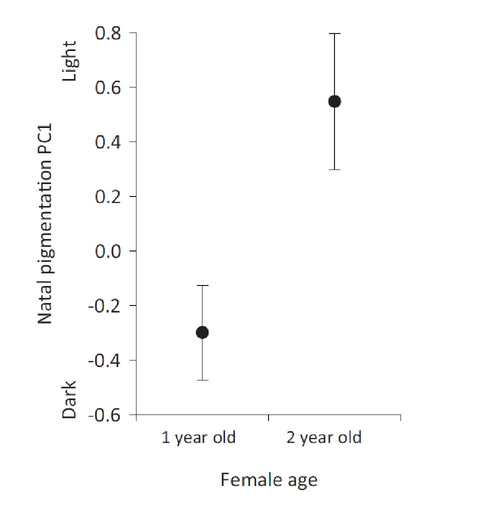 What can eggshell coloration tell us about female health and male