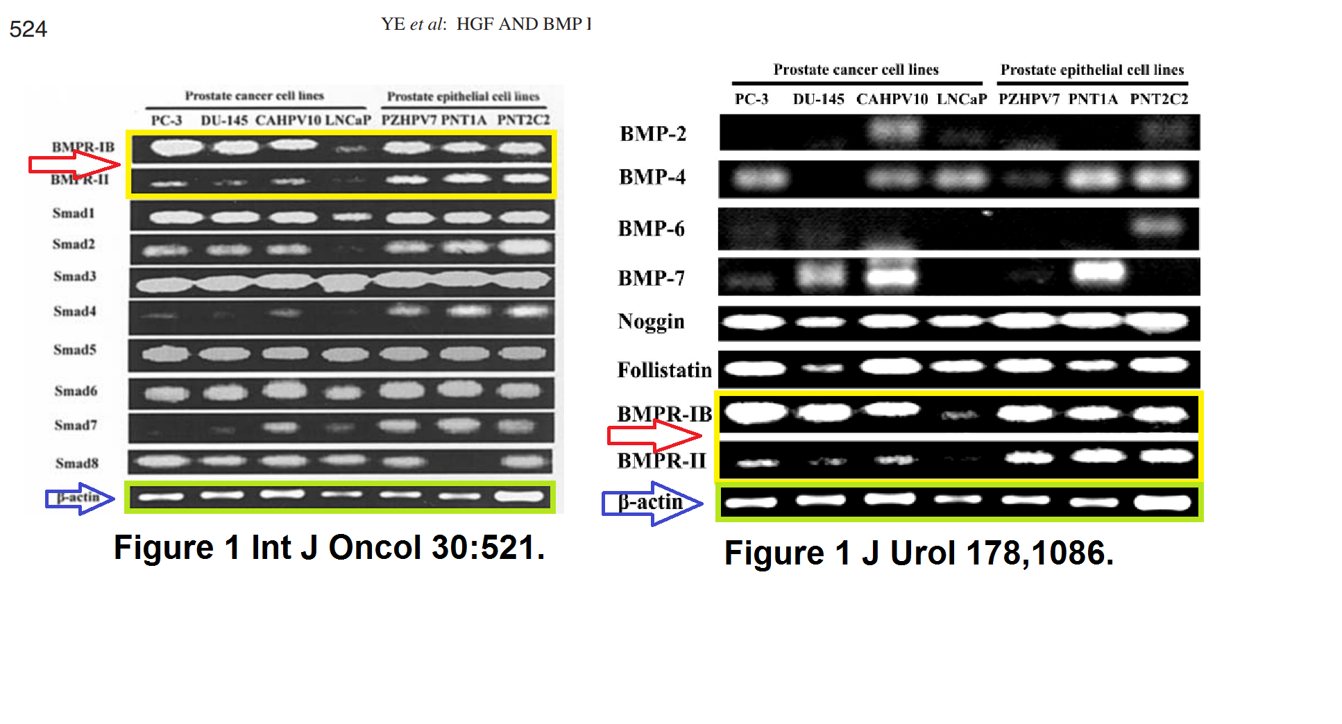 Cardiff investigates two cancer research professors for data manipulation For Better Science