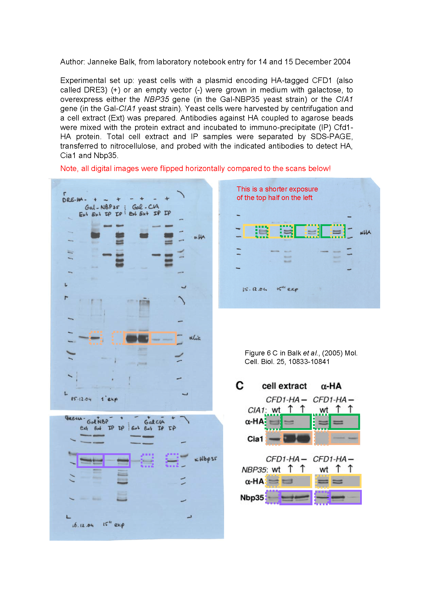 Data integrity conspiracy against German research senator Roland Lill