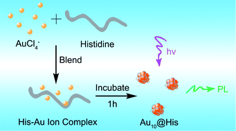 Blending of HAuCl4 and histidine in aqueous solution: a simple approach to  the Au10 cluster - Nanoscale (RSC Publishing)