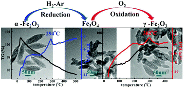 Structural evolution and characteristics of the phase transformations