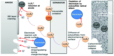 Lithium sulfur batteries, a mechanistic review - Energy & Environmental