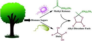 High cetane renewable diesel fuels prepared from bio-based methyl