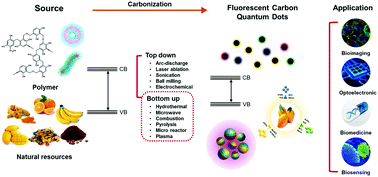 Progress in internal/external stimuli responsive fluorescent carbon