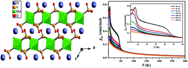 Two spin-canted antiferromagnetic orderings and a field-induced