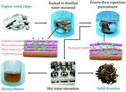 Freeze–Thaw Repetition As An Auxiliary Method To Promote Efficient Separation Of Hemicellulose From Poplar - Green Chemistry (Rsc Publishing)