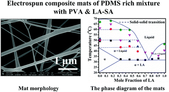 Altered phase behavior of the lauric acid–stearic acid binary mixtures