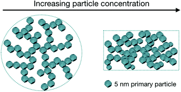 The effect of salt and particle concentration on the dynamic self