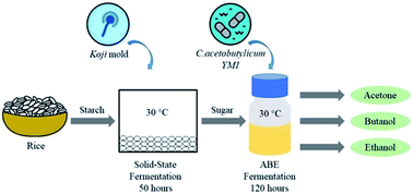 Techno-economic analysis of a two-step fermentation process for bio